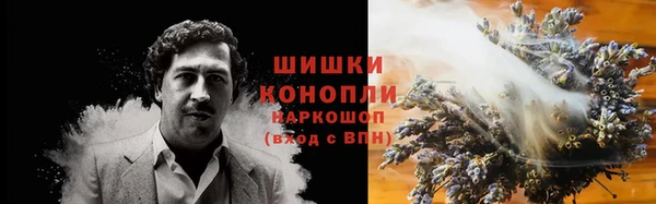 spice Дмитриев
