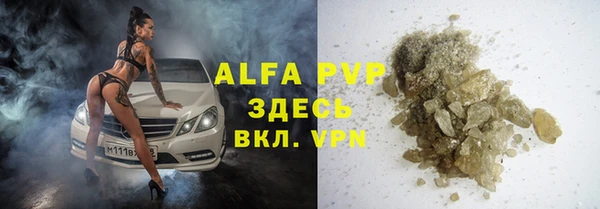 spice Дмитриев