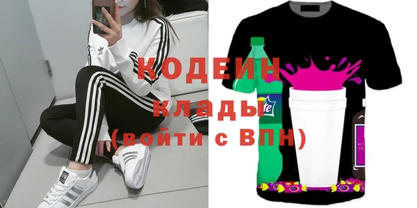 spice Дмитриев
