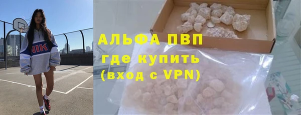 spice Дмитриев