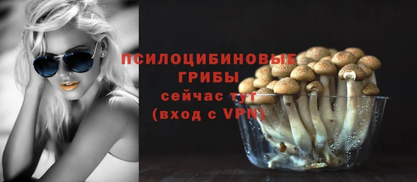 меф Дмитров