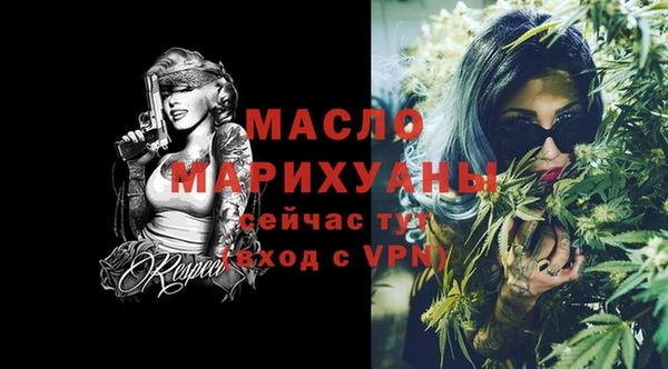 spice Дмитриев