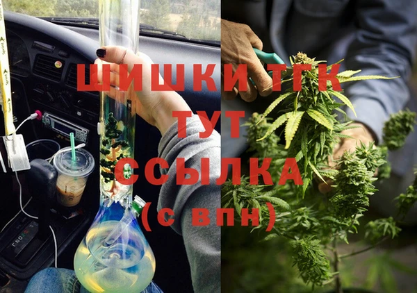 spice Дмитриев