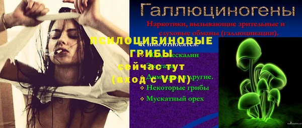 меф Дмитров