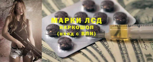 spice Дмитриев