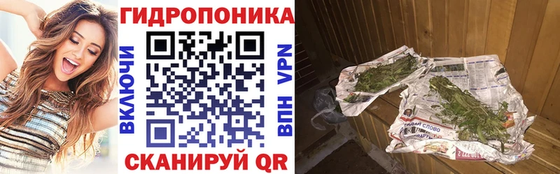 Конопля AK-47  Купить закладки  Благодарный 